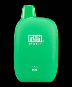 Flum Pebble 6000 Puffs - Cool Mint