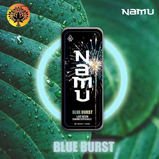 Namu Disposables - Blue Burst