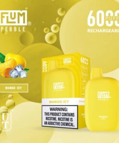 Flum Pebble 6000 Puffs - Mango Icy