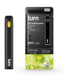 Turn Disposable - Kiwi Spiked