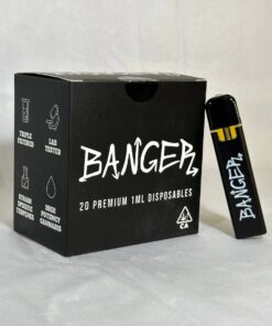 Banger 1G Disposable