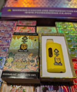 Ace x Packman 2g Disposable
